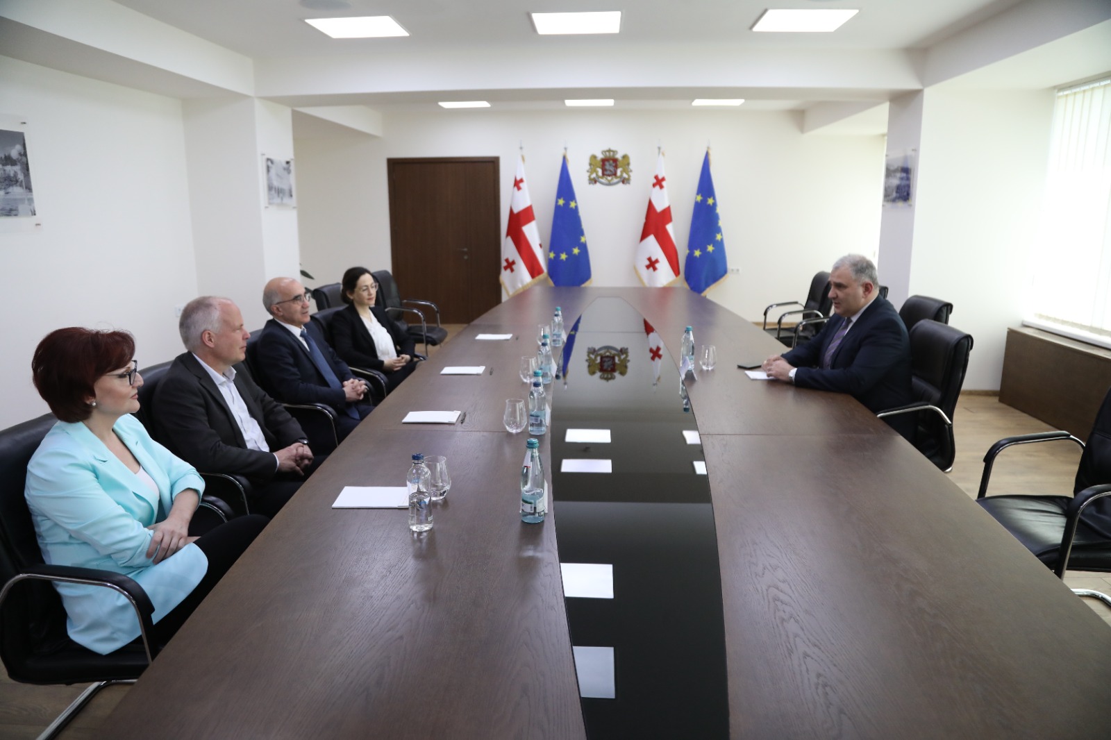 ოკუპირებული ტერიტორიებიდან დევნილთა, შრომის, ჯანმრთელობისა და სოციალური დაცვის მინისტრი მიხეილ სარჯველაძე, მიუნსტერის უნივერსიტეტის ეპილეფსიის სამეცნიერო ცენტრის დირექტორს ალი გორჯის საქმიანი შეხვედრა