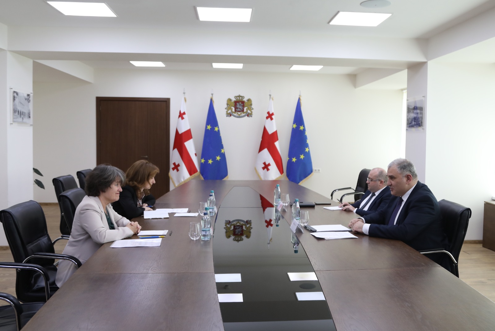 მიხეილ სარჯველაძე კემლინ ფურლეს შეხვდა